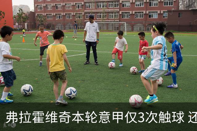 弗拉霍维奇本轮意甲仅3次触球 还经常抱怨队友